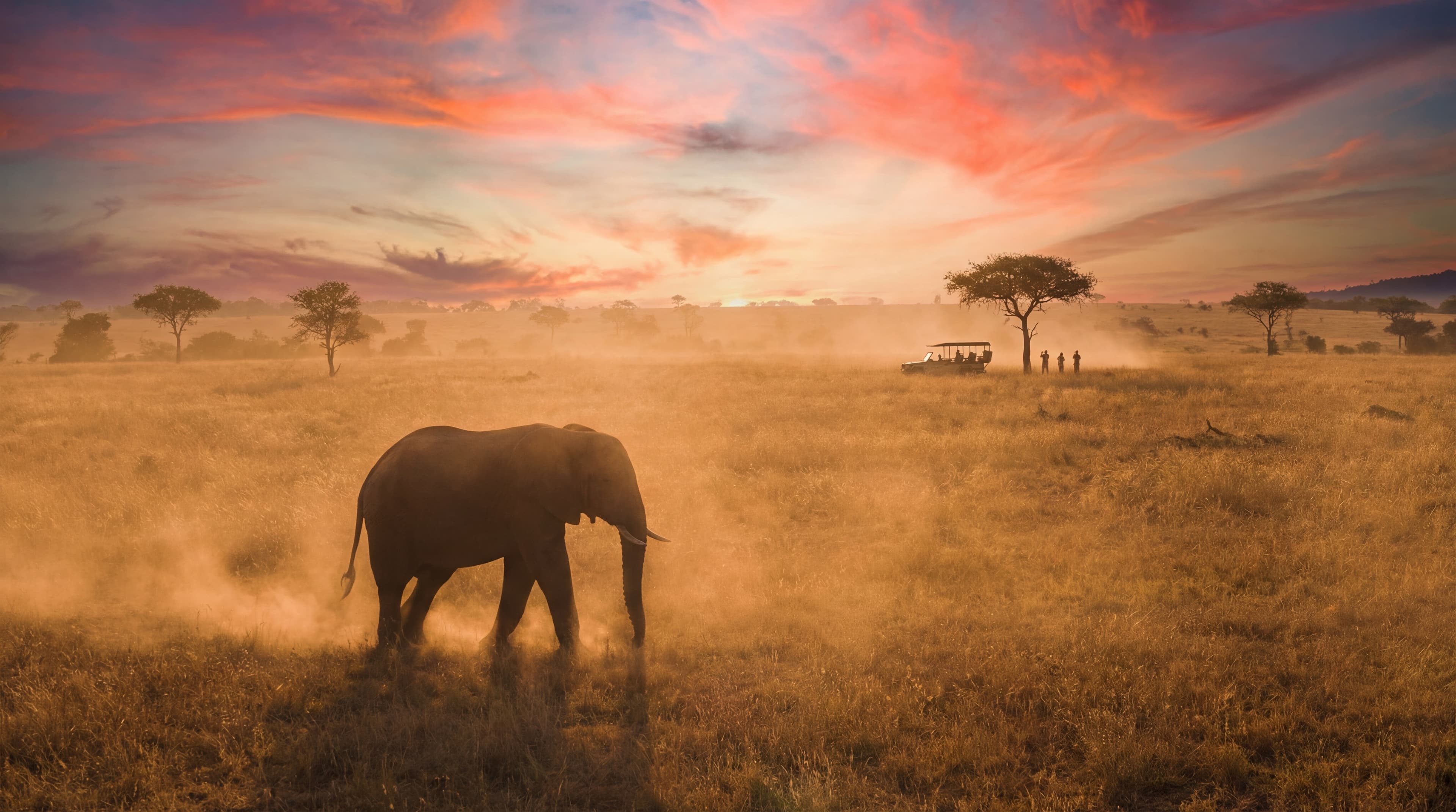 В Гости к Ховарду — Дикое Лимпопо 2